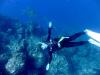 Ayuko from  Tokyo | Scuba Diver