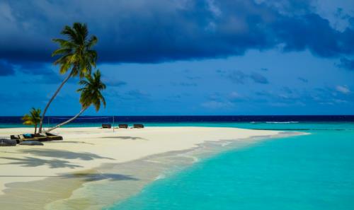 Maldives – A Great Alternative to your Canceled Red Sea Dive Trip