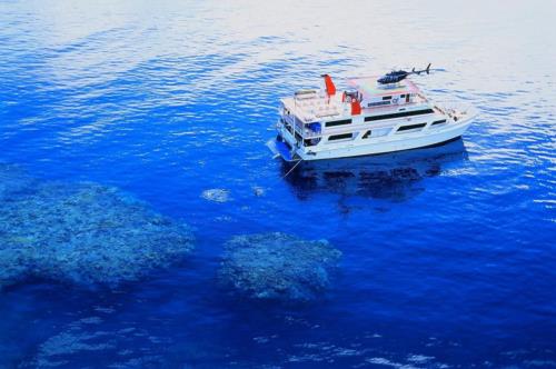 Great Barrier Reef Still a Great Liveaboard Dive Destination