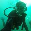 Chris from   | Scuba Diver