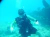 Mick from Venice FL | Scuba Diver