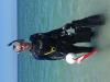 Dive buddy needed for shore dives, Venice Fl, 6/19-7/1