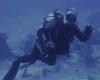 Tampa Bay diver wants non-group, non-dive shop buds for east coast weekend dives
