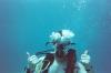 roy from Miami FL | Scuba Diver