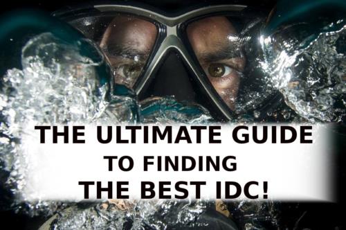 The Ultimate Guide to Finding The Best IDC!