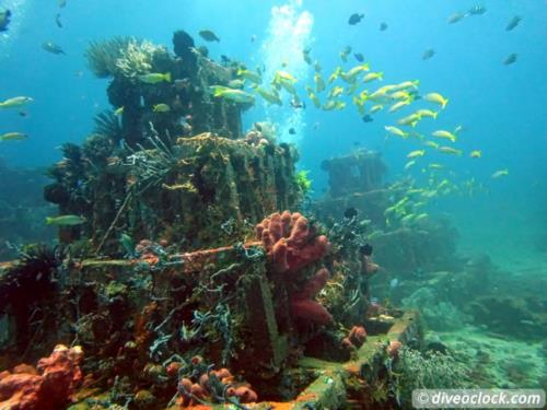 Dive destination: Amed, Bali!