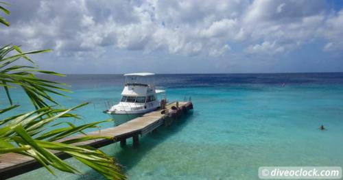 Exploring The Best Dive Sites of Curaçao, Dutch Caribbean!