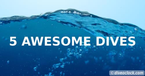 5 Awesome Dive & Snorkel trips around the world!