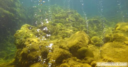 Volcanic Bubbles at Champagne Reef in Dominica!