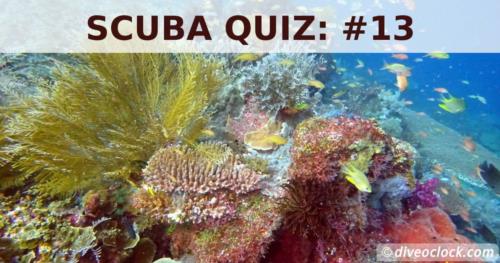 SCUBA QUIZ: The Coral Triangle!