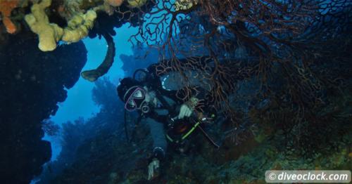 Diving the Legendary Sec Pâté in Guadeloupe!