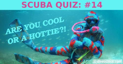 SCUBA QUIZ: Wetsuit!