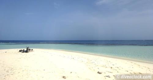 Picturesque Cayo Arena and Stunning Unexplored Dive Sites in the Dominican Republic! Picturesque Cayo Arena and Stunning Unexplored Dive Sites in the Dominican Republic!