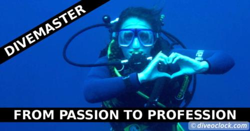 So you Wanna Become a Divemaster?