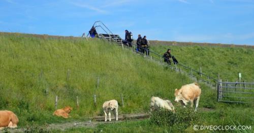 Holland SCUBA Diving - Tips For Relaxed Shore Diving in Zeeland