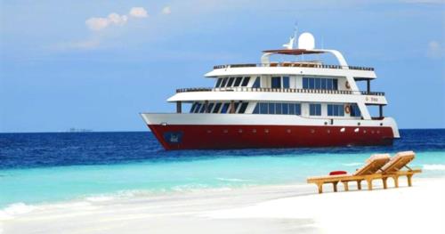 Liveaboard Special Deals and Last Minute Discounts