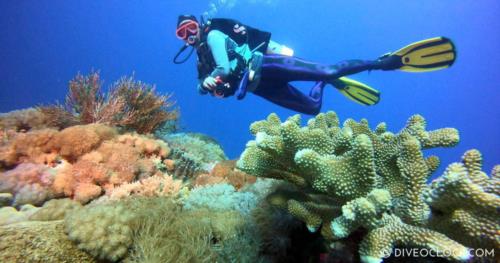 Green Island - Lyudao - SCUBA Diving in Taiwan