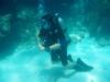 Nick from Bethesda MD | Scuba Diver