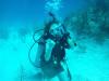 Brian from Arlington VA | Scuba Diver