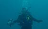 SeaLioness
