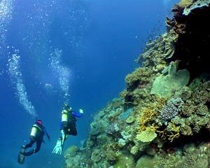 Tips for diving in Croatia