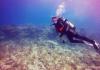 Jennifer from Gainesville FL | Scuba Diver