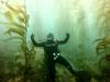 Kyle from Ocala FL | Scuba Diver