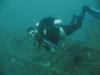 Jim from Hermitage TN | Scuba Diver