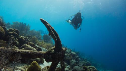 Best Scuba Diving Sites Around Tokyo