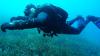 nikos from Athens PA | Scuba Diver