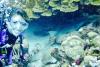 Anna from Bonita Springs FL | Scuba Diver