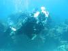 Doug from Jensen Beach FL | Scuba Diver