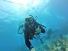 Trevor from Fort Myers FL | Scuba Diver