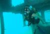 Jan 14-20 diving in central Florida