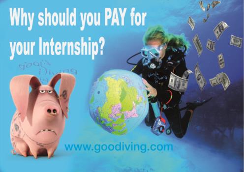Why Should you PAY for your Internship?