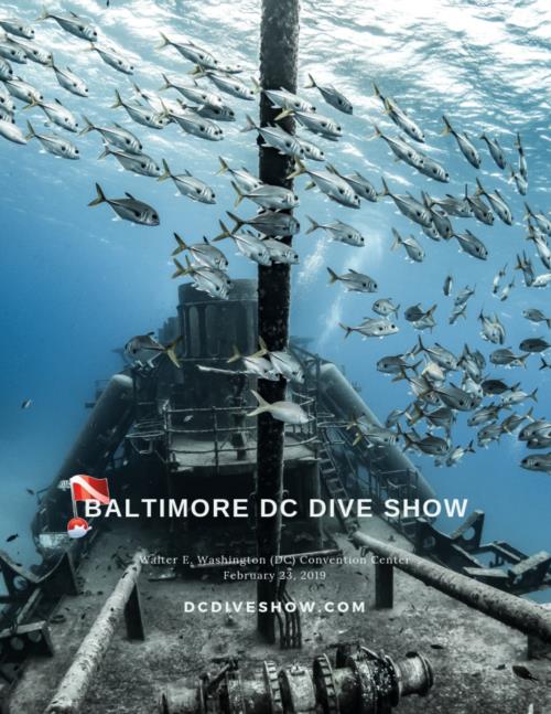 DCDiveShow Lineup