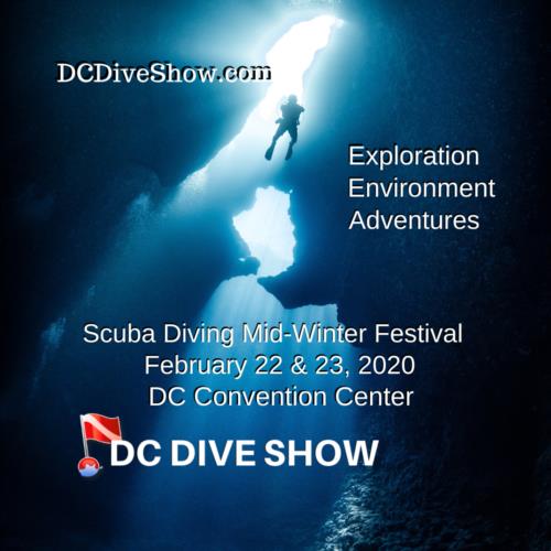 DC Dive Show Workshop Updates