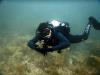 Michel from Lake Worth FL | Scuba Diver