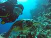 Checking out dive sites arround Freeport, Grand Bahama - August 19 - 25