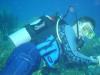 Steve from Morristown NJ | Scuba Diver