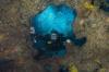 Blue Stone Quarry - Dive Buddy - Solo diver looking for DB