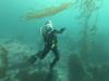 Julie from Martinez CA | Scuba Diver