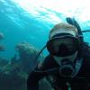 Stephen from Bell Buckle TN | Scuba Diver