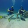 Dive Islamorada Florida Sep 7th - 14th