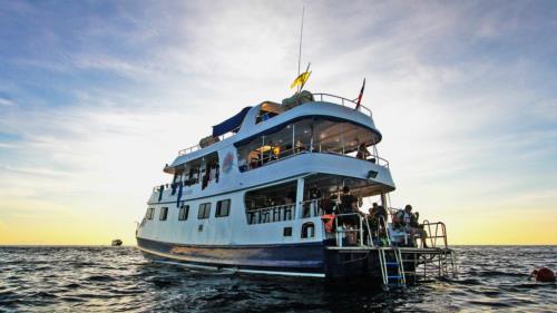 A Typical Day on a Liveaboard