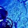 Brandon from Tampa FL | Scuba Diver