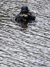Elliot from Norwalk CT | Scuba Diver