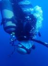Evan from   | Scuba Diver