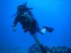 Mike from Pleasant Grove CA | Scuba Diver