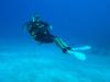 Malcolm from   | Scuba Diver